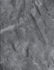 Πάνελ Styrodur 933-204 – Πέτρα