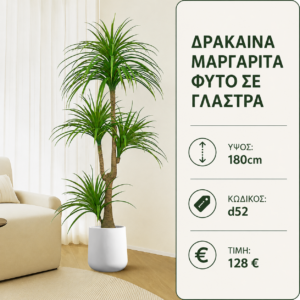 D52 Artificial Dracaena Marginata – 180 cm