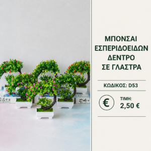 D53 τεχνητό δέντρο μπονσάι