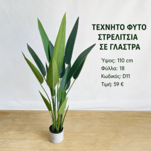 D11 τεχνητή στρελίτσια