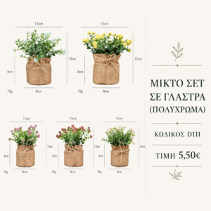 Σετ ανάμεικτων φυτών σε γλάστρα D111