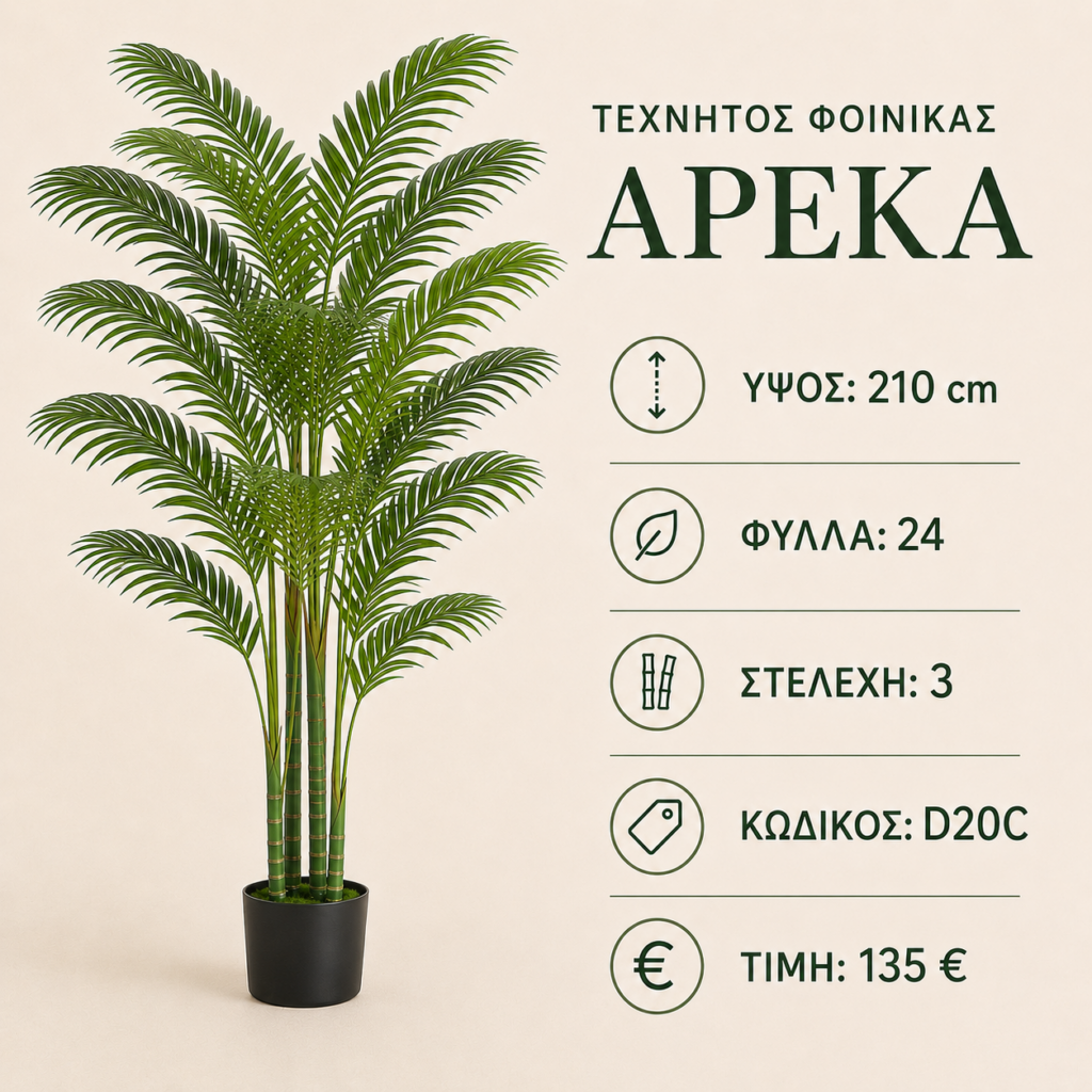 d20 areca palm