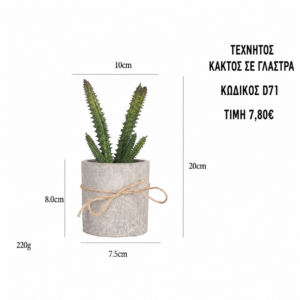 Τεχνητός κάκτος D71 – 10 x 20 cm