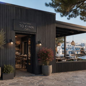Πάνελ WPC εξωτερικού χώρου μαύρο 290 x 16 cm